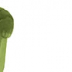 Диван обеденный HERA от BRABBU, дизайн Boca do Lobo