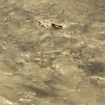 Консоль Empress от KOKET, дизайн Boca do Lobo