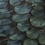 Шкаф Divine Peacock Feather от KOKET, дизайн Boca do Lobo