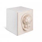 Стеллаж Coleccionista от BRABBU, дизайн Boca do Lobo