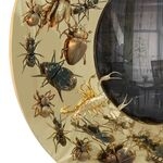 Зеркало Convex Metamorphosis от KOKET, дизайн Boca do Lobo