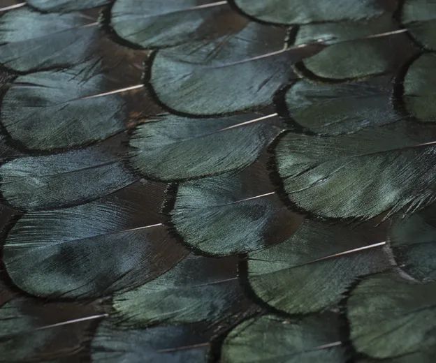 Шкаф Divine Peacock Feather от KOKET, дизайн Boca do Lobo